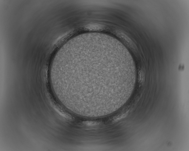 X0000091880733200710031741