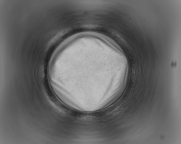 X0000091880734200710031741