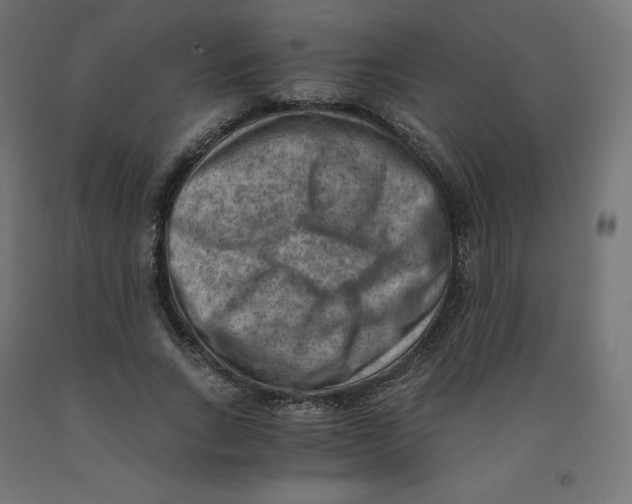 X0000091880735200710031741