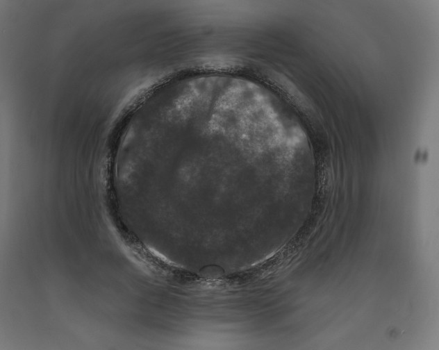 X0000091880736200710031741