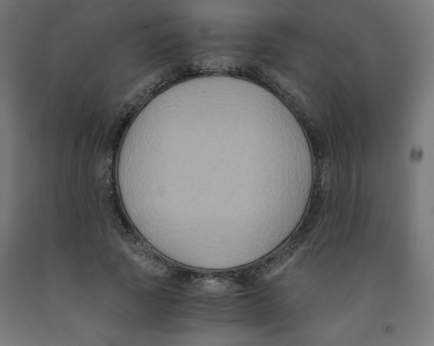 X0000091880737200710031741