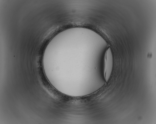 X0000091880738200710031741