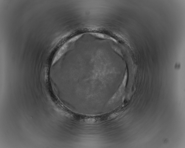 X0000091880740200710031741