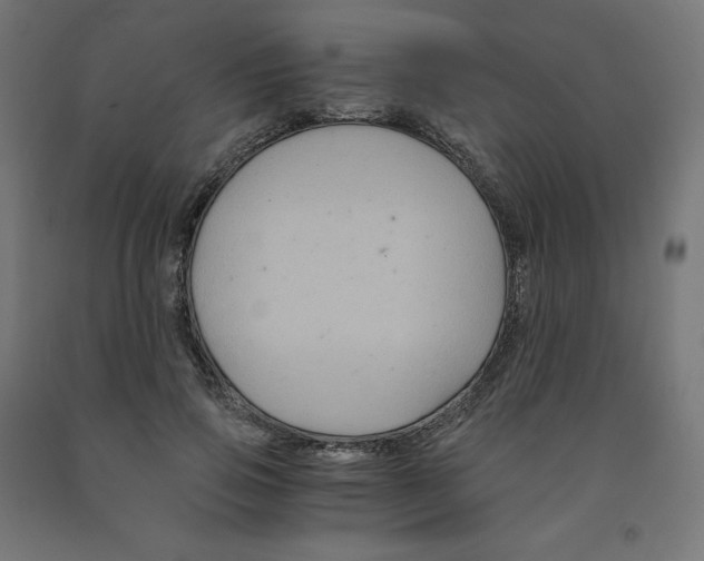 X0000091880741200710031741