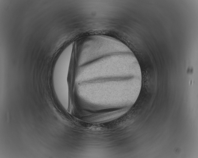 X0000091880742200710031741