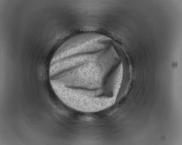 X0000091880743200710031741