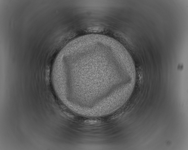 X0000091880745200710031741