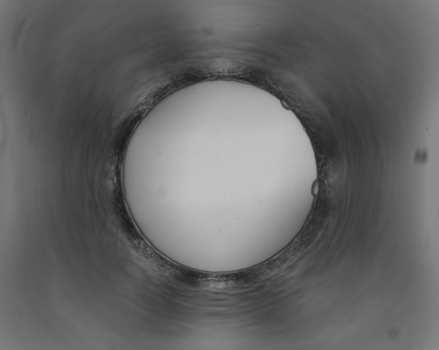 X0000091880746200710031741