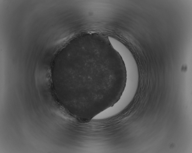 X0000091880748200710031741