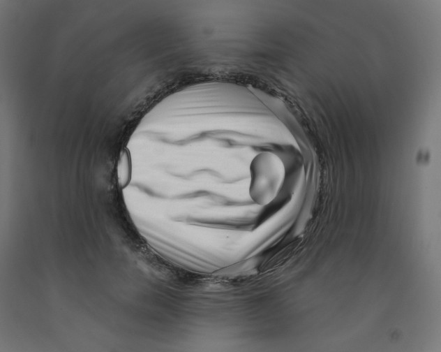 X0000091880750200710031741