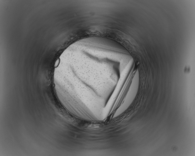 X0000091880751200710031741