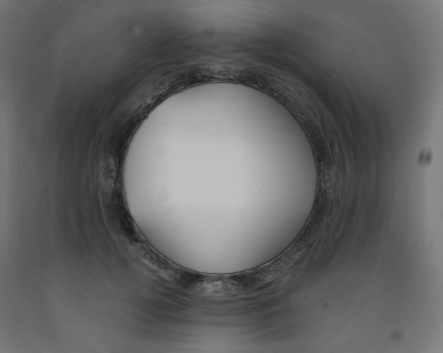 X0000091880752200710031741