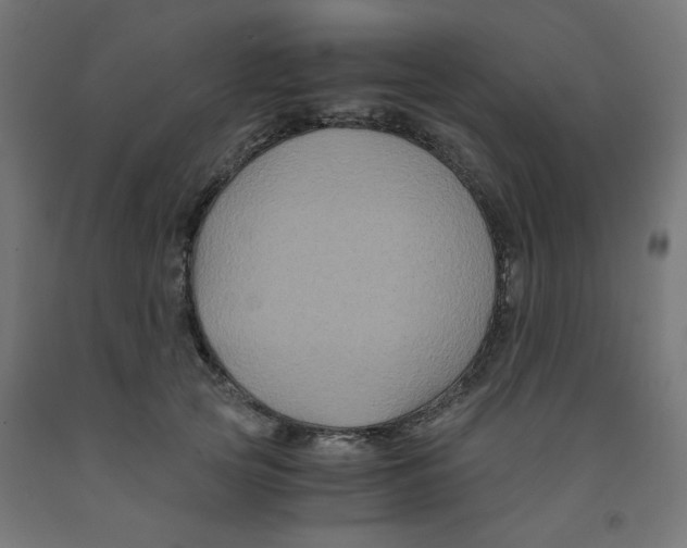 X0000091880753200710031741