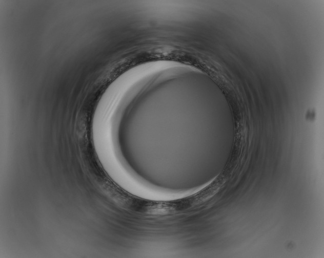 X0000091880754200710031741