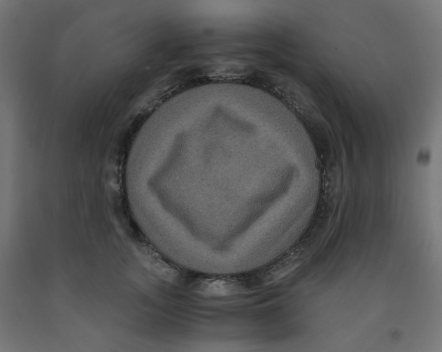 X0000091880755200710031741