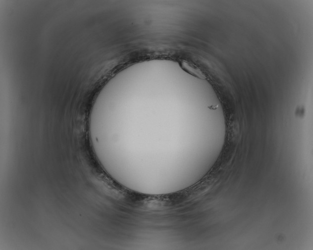 X0000091880756200710031741