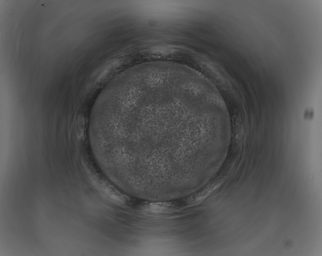 X0000091880758200710031741