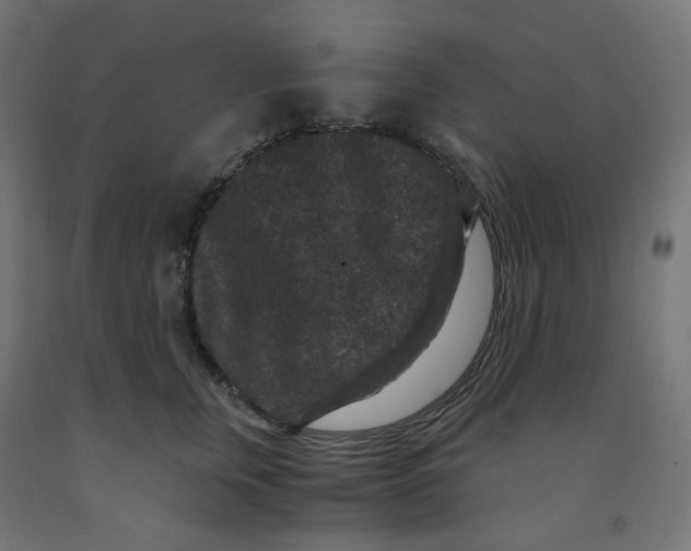 X0000091880759200710031741