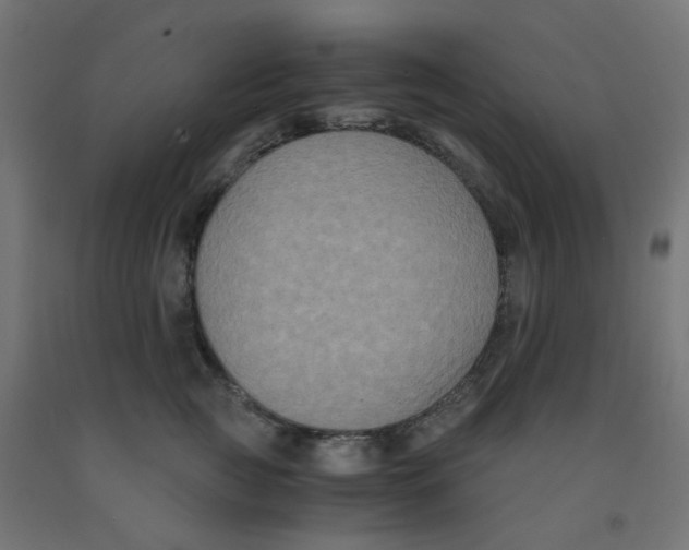 X0000091880761200710031741