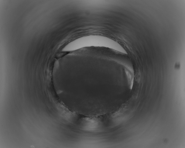 X0000091880763200710031741