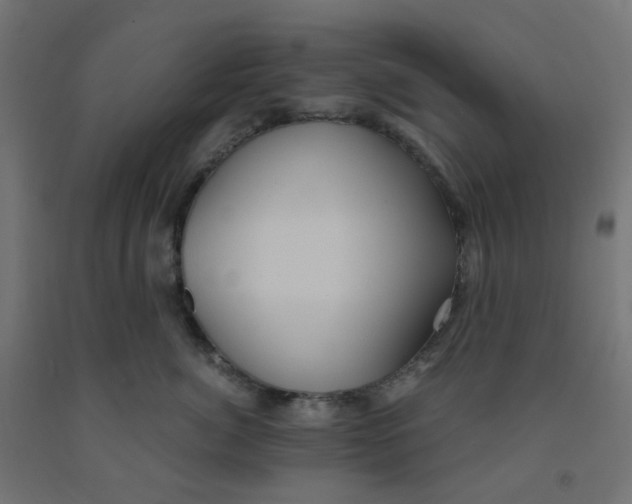 X0000091880764200710031741