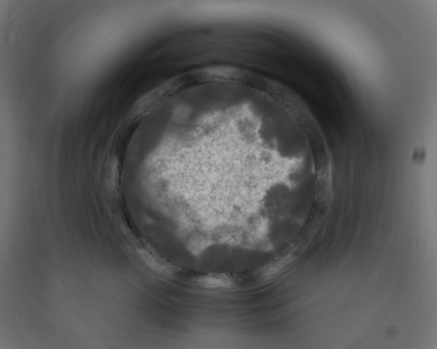 X0000091880765200710031741