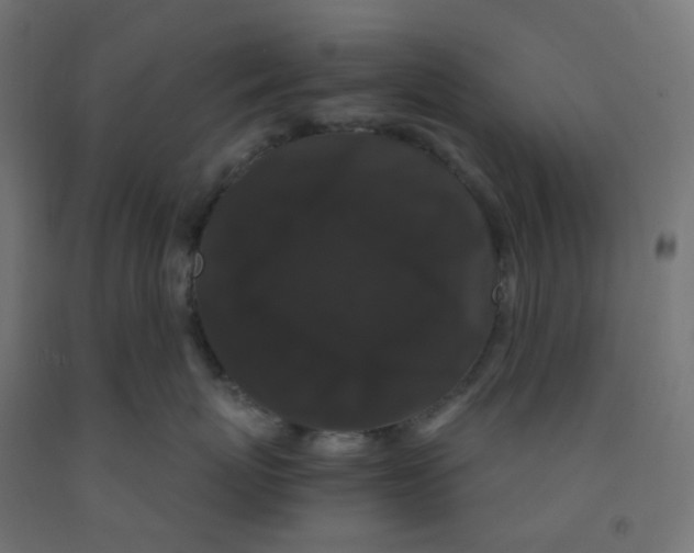 X0000091880767200710031741