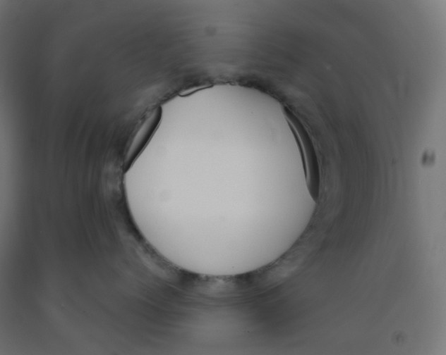 X0000091880768200710031741