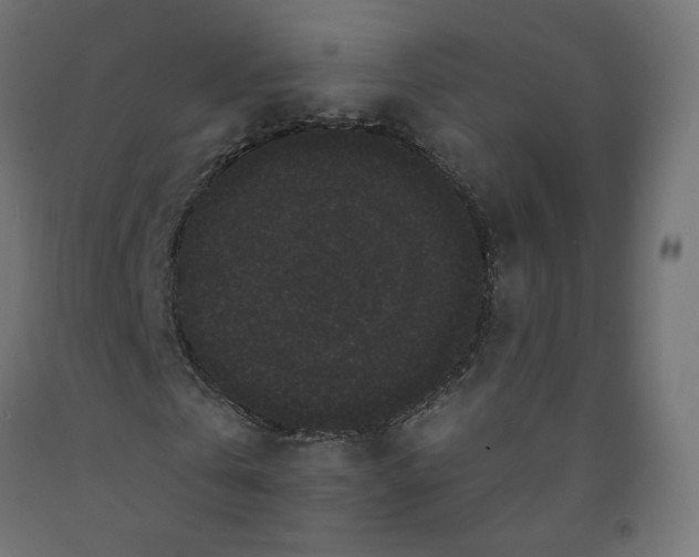 X0000091880769200710031740