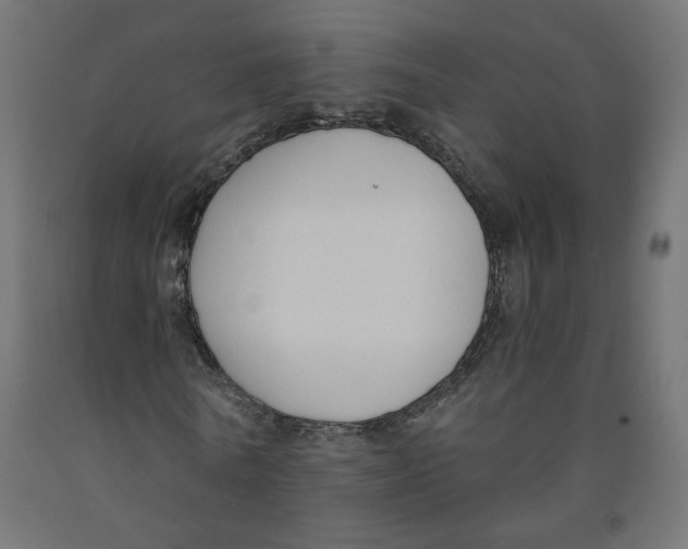 X0000091880770200710031740