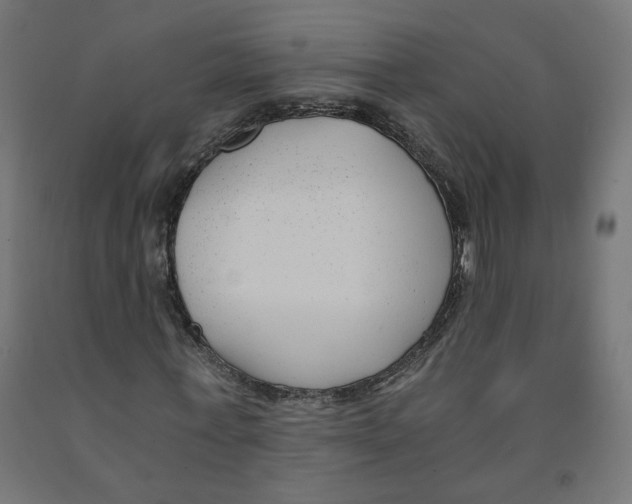 X0000091880771200710031740