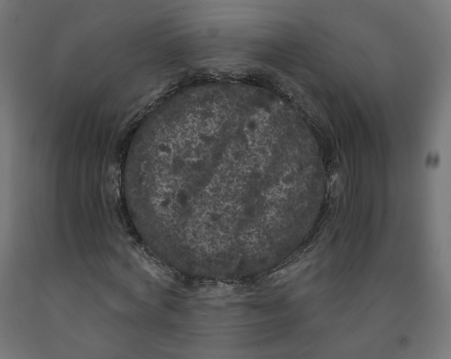 X0000091880772200710031740