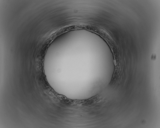 X0000091880773200710031740