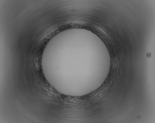 X0000091880774200710031740