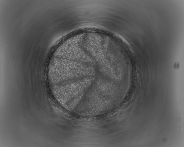 X0000091880775200710031740