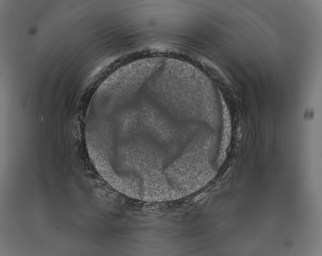 X0000091880776200710031740