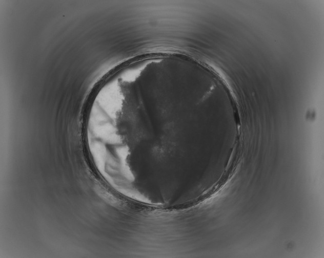 X0000091880779200710031740