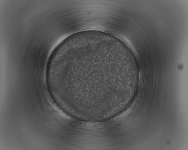 X0000091880780200710031740