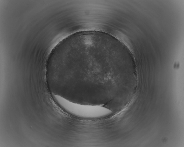 X0000091880781200710031740