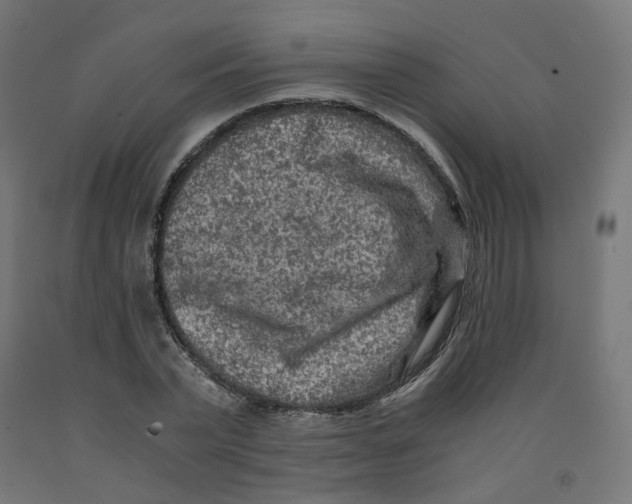 X0000091880783200710031740