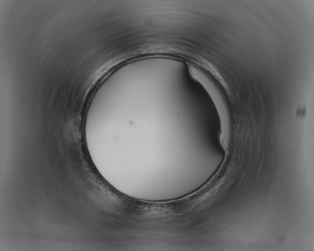 X0000091880786200710031740