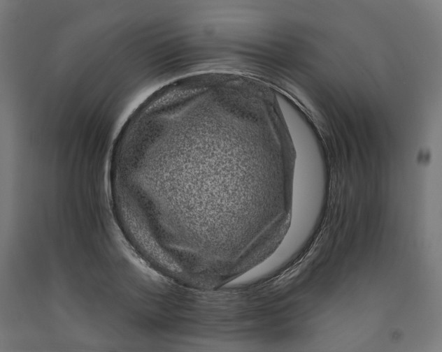 X0000091880788200710031740