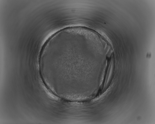 X0000091880789200710031740