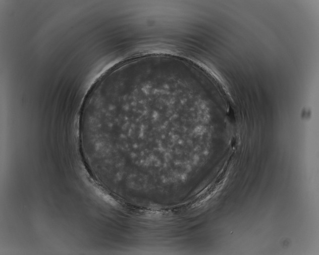 X0000091880790200710031740