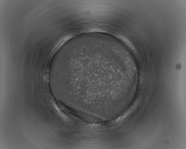 X0000091880793200710031740