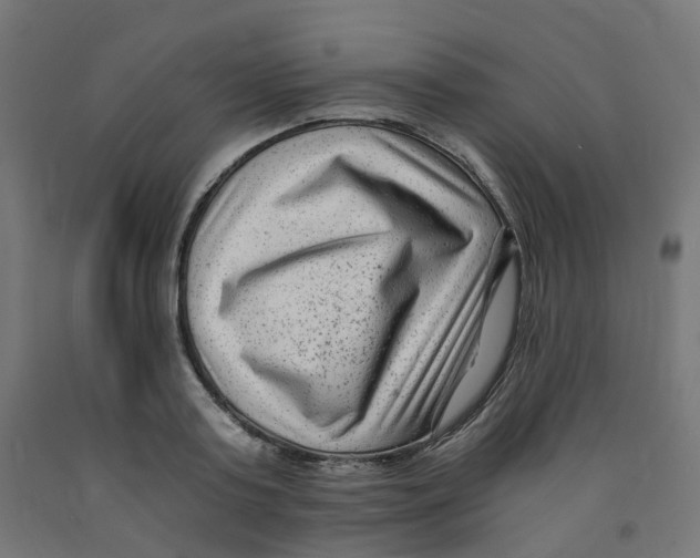 X0000091880795200710031740