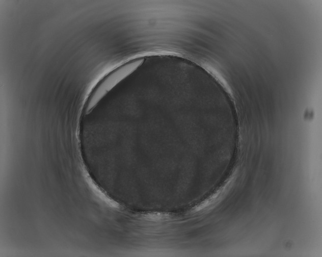 X0000091880797200710031740