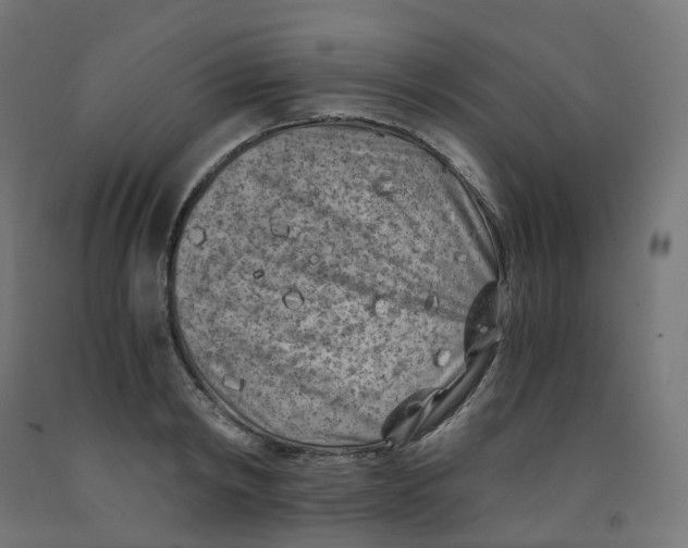 X0000091880798200710031740