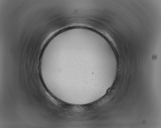 X0000091880799200710031740