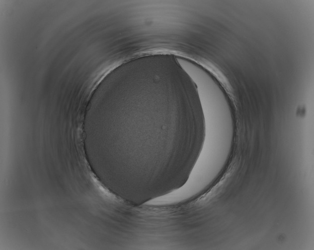 X0000091880801200710031740